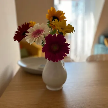 Apartman Easy Isola, For An Easy